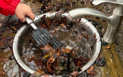The benefits of water play