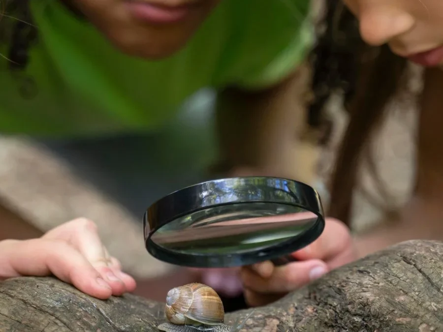 Learning through nature at The Vines ELC