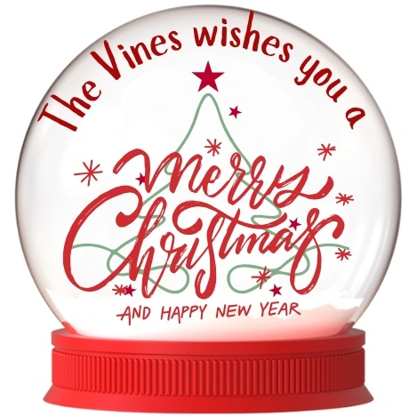 2025 Merry Christmas at childcare in Auckland