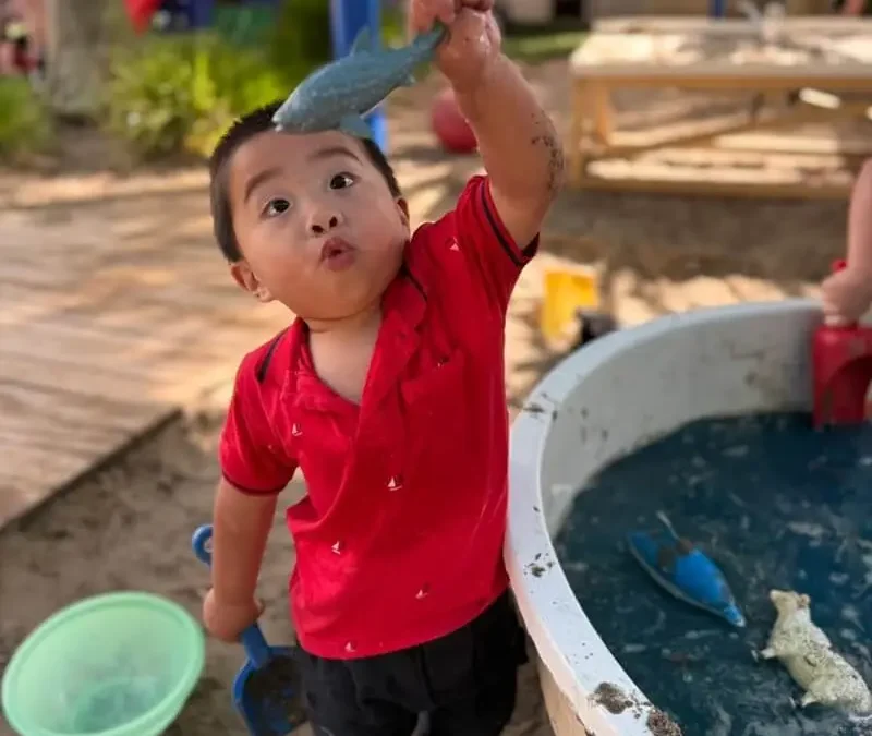 best West Auckland childcare